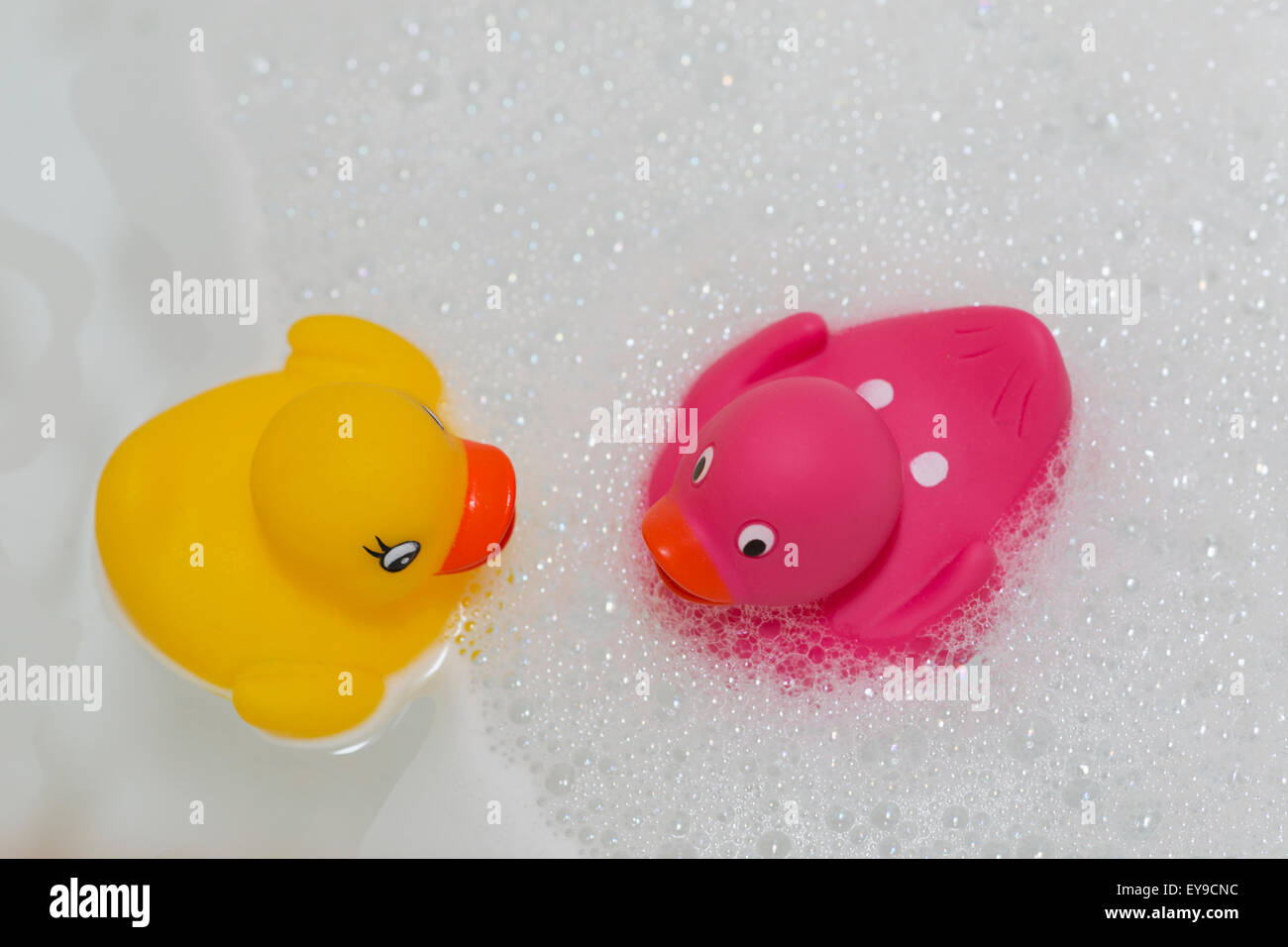 Rubber Duck Stock Photo - Download Image Now - Soap Sud, Rubber Duck, Duck  - Bird - iStock