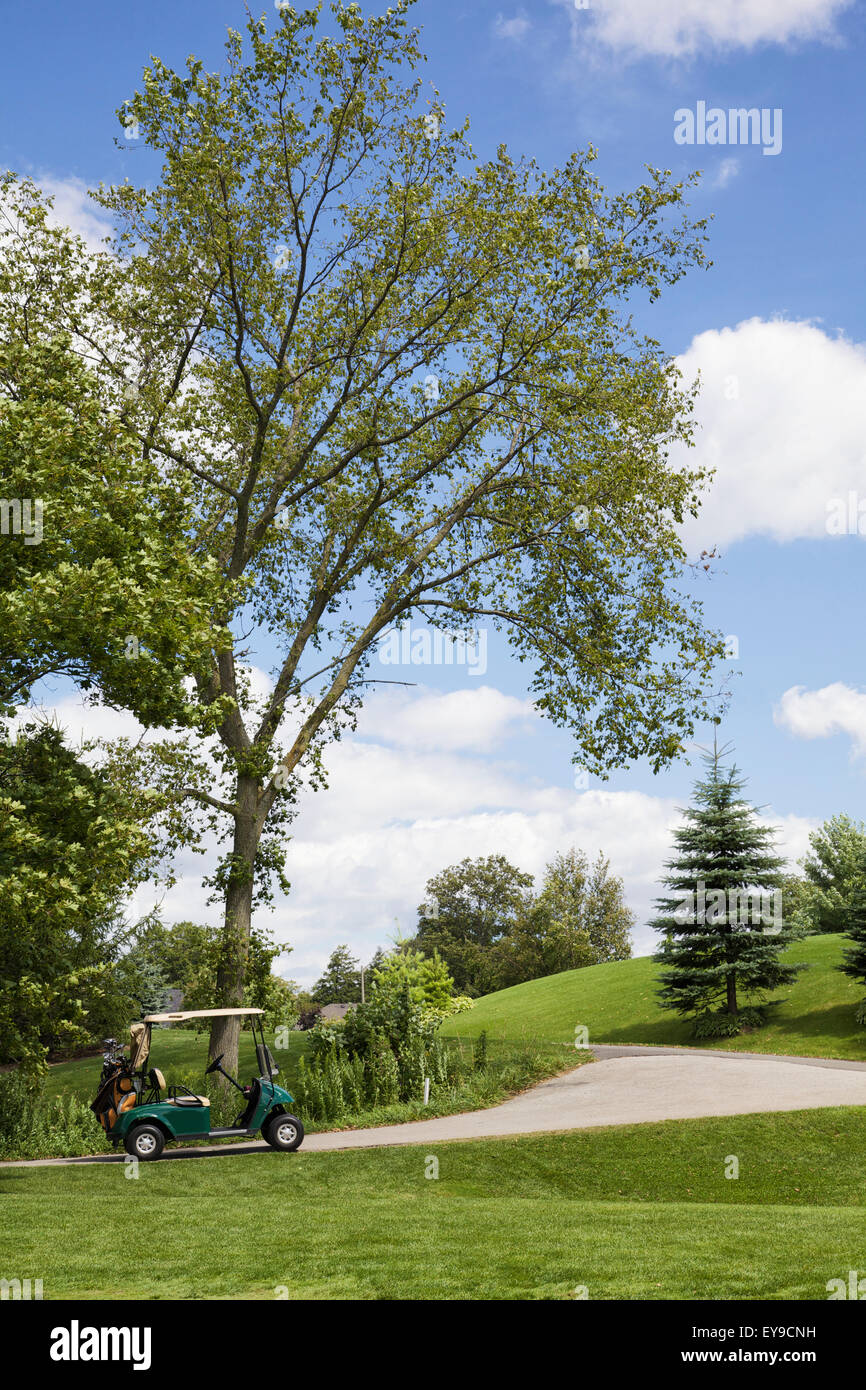Golf cart on golf course; Ontario, Canada Stock Photo Alamy