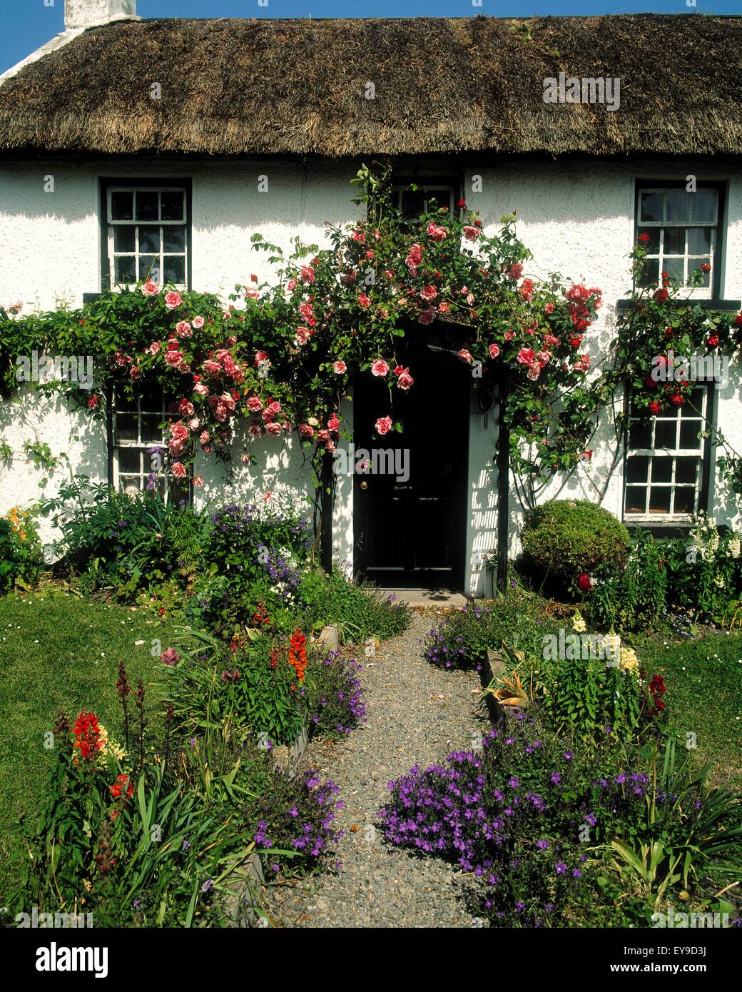 Thatched Cottage, Carlingford, Co Louth, Ireland Stock Photo Alamy