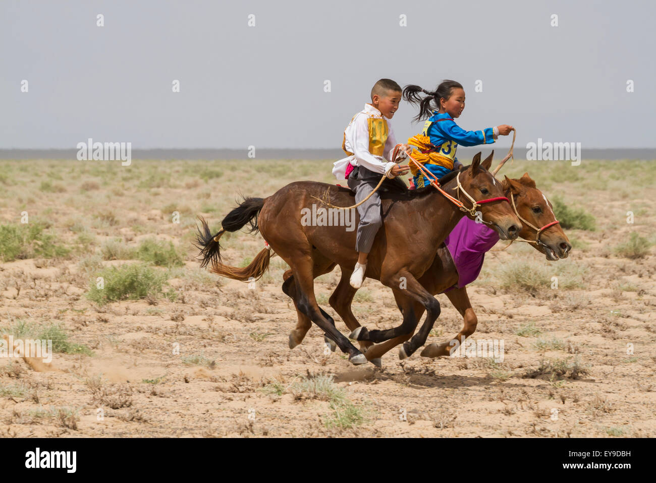 Asia,Horses,Equestrian,Domestic Animals,Fauna Stock Photo