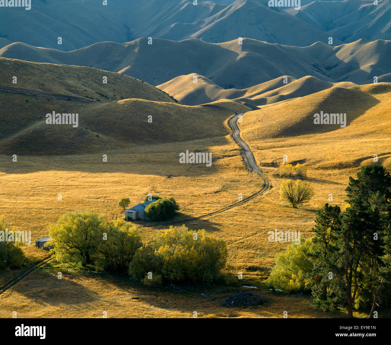 Lindis Pass Otago New Zealand Farm Track Over Hills Stock Photo