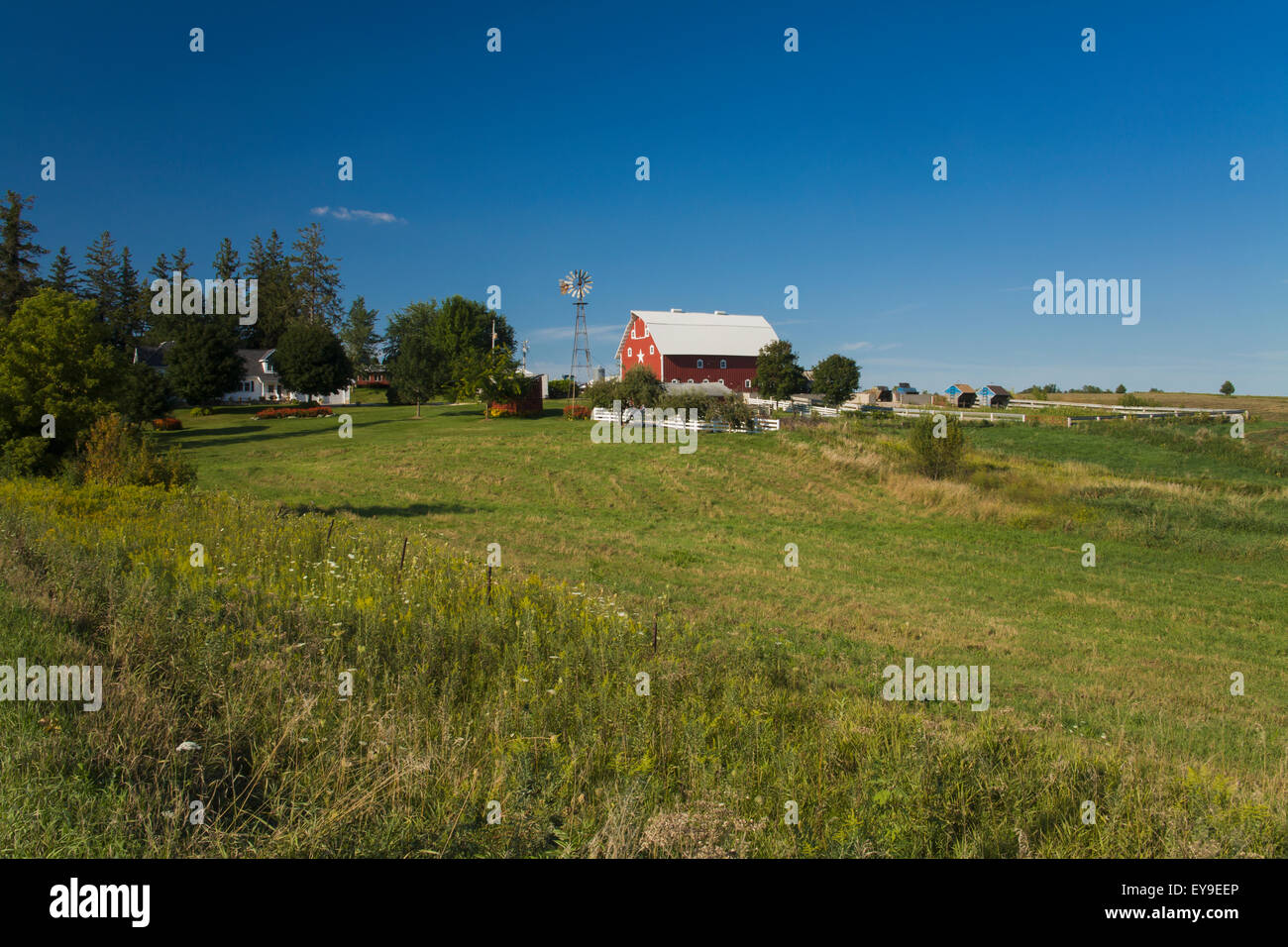 Farm with red barn and windmill, near Edgewood; Iowa, United States of
