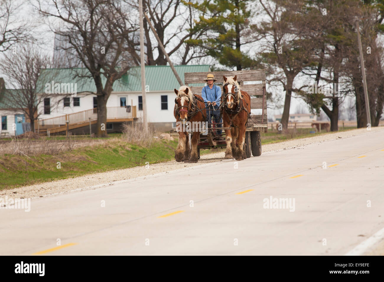 Amish man horse carriage hires stock photography and images Alamy