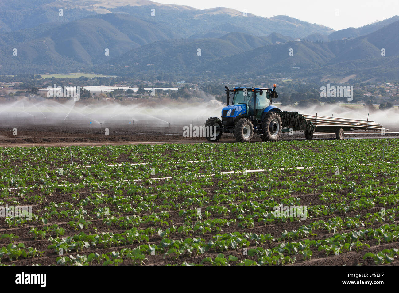Hauling new irrigation pipes to the fields; Salinas, California, United