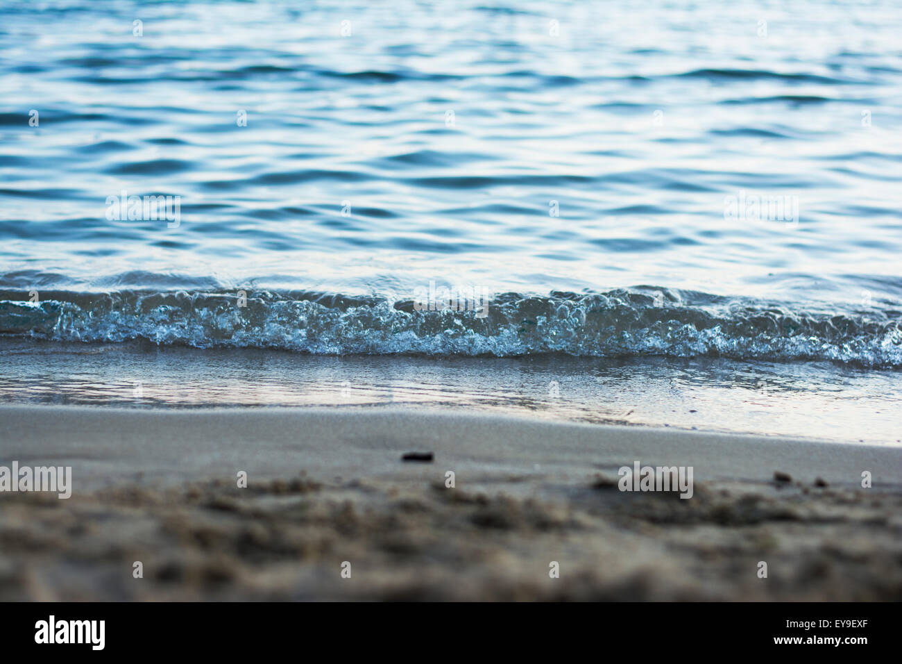 Footprints in the sand on beach Stock Photo - Alamy