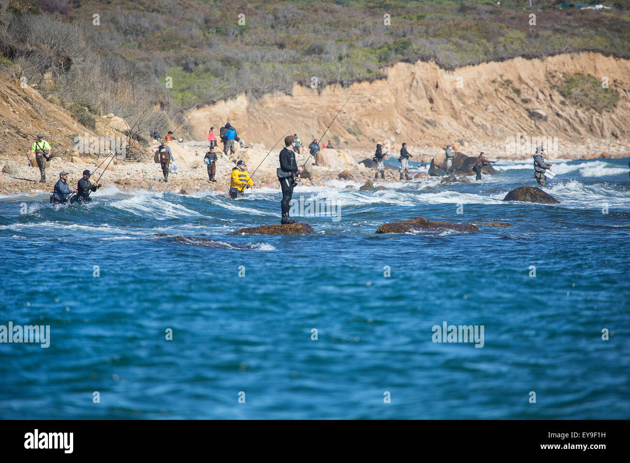 Surf fishing; Montauk, New York, United States of America Stock Photo