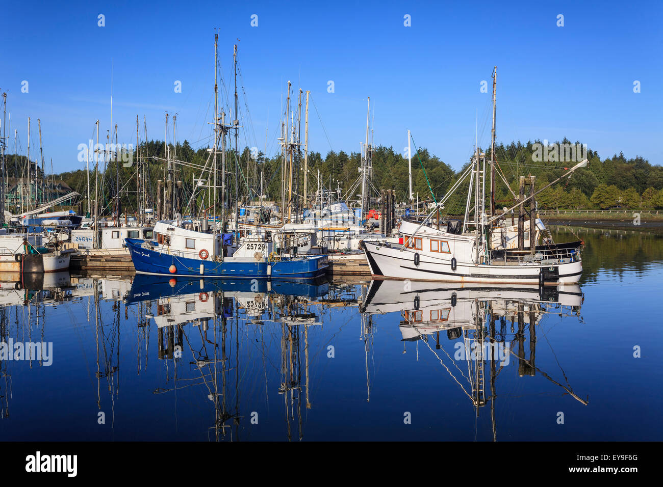 Commercial fishing boats in Ucluelet Harbour; Vancouver Island, British Columbia, Canada Stock Photo