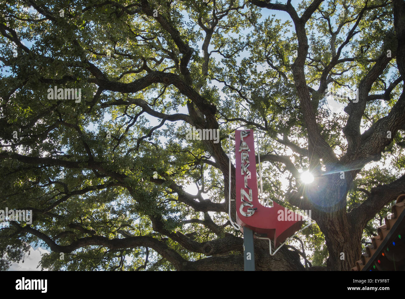 White sign next to tree hi-res stock photography and images - Alamy