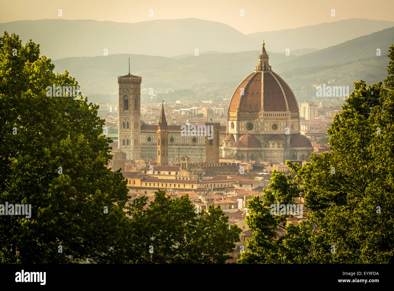 The south façade of Florence Cathedral glimpsed through the trees of San Miniato al Monte. Florence. Italy. Stock Photo