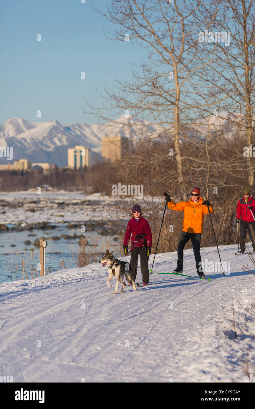 Husky,Anchorage,Family,Cross Country Skiing Stock Photo Alamy