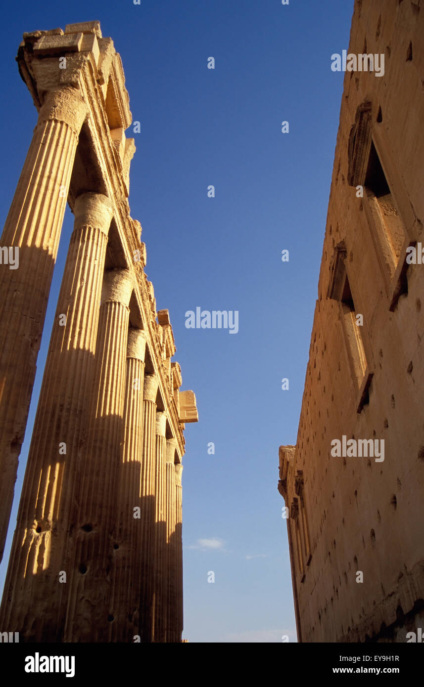 Syria, Temple Of Bel; Palmyra, Columns Of The Cella Stock Photo