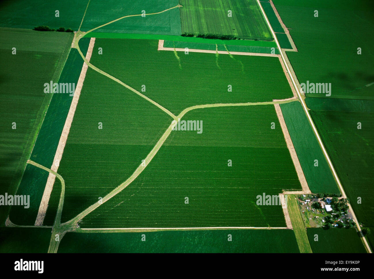 Farm,Scenic,Aerial View,Illinois Stock Photo