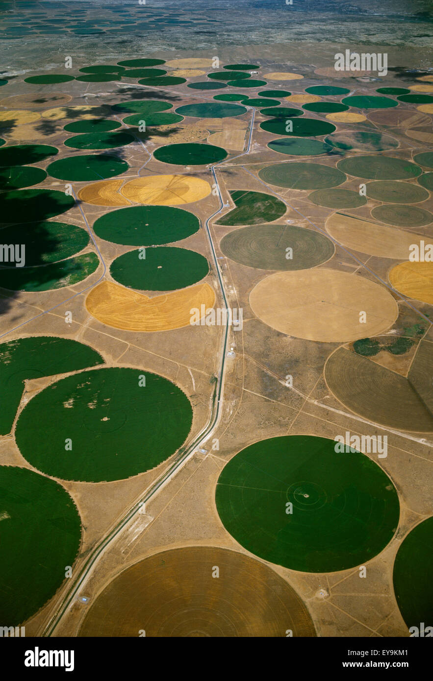 photo crop circle