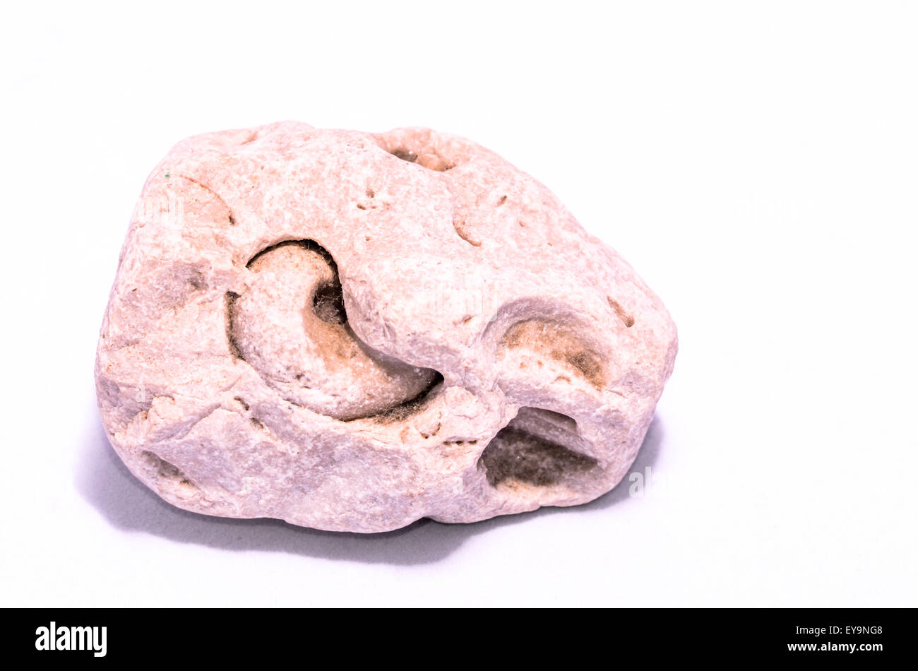 Old Ancient Fossil Rock Stone Stock Photo - Alamy