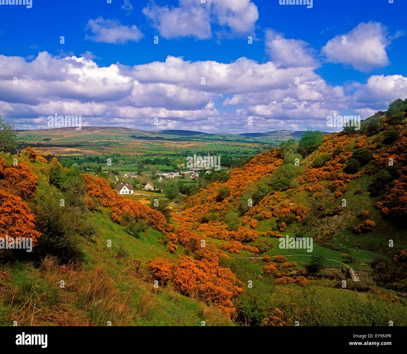 Gortin Valley, Co Tyrone, Ireland; Valley With Houses In The Distance