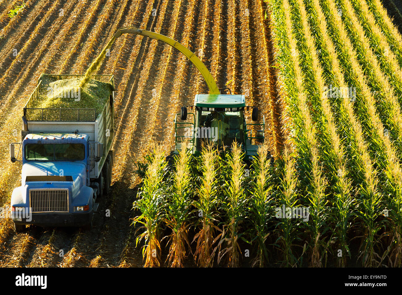 Chuck truck hires stock photography and images Alamy