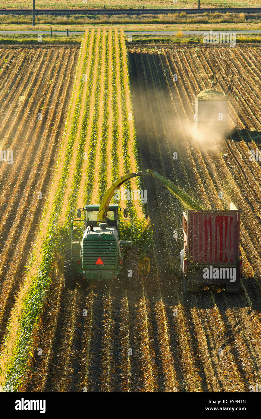 Chuck truck hires stock photography and images Alamy