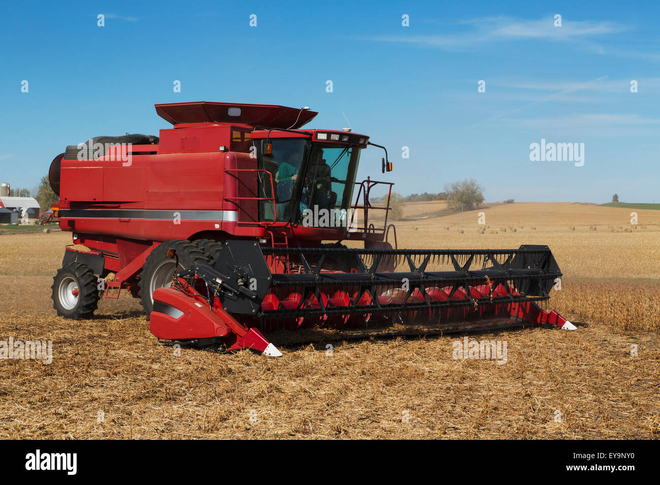 Red combine harvesting beans on a sunny autumn day in Northeast Iowa; Iowa, United States of America Stock Photo