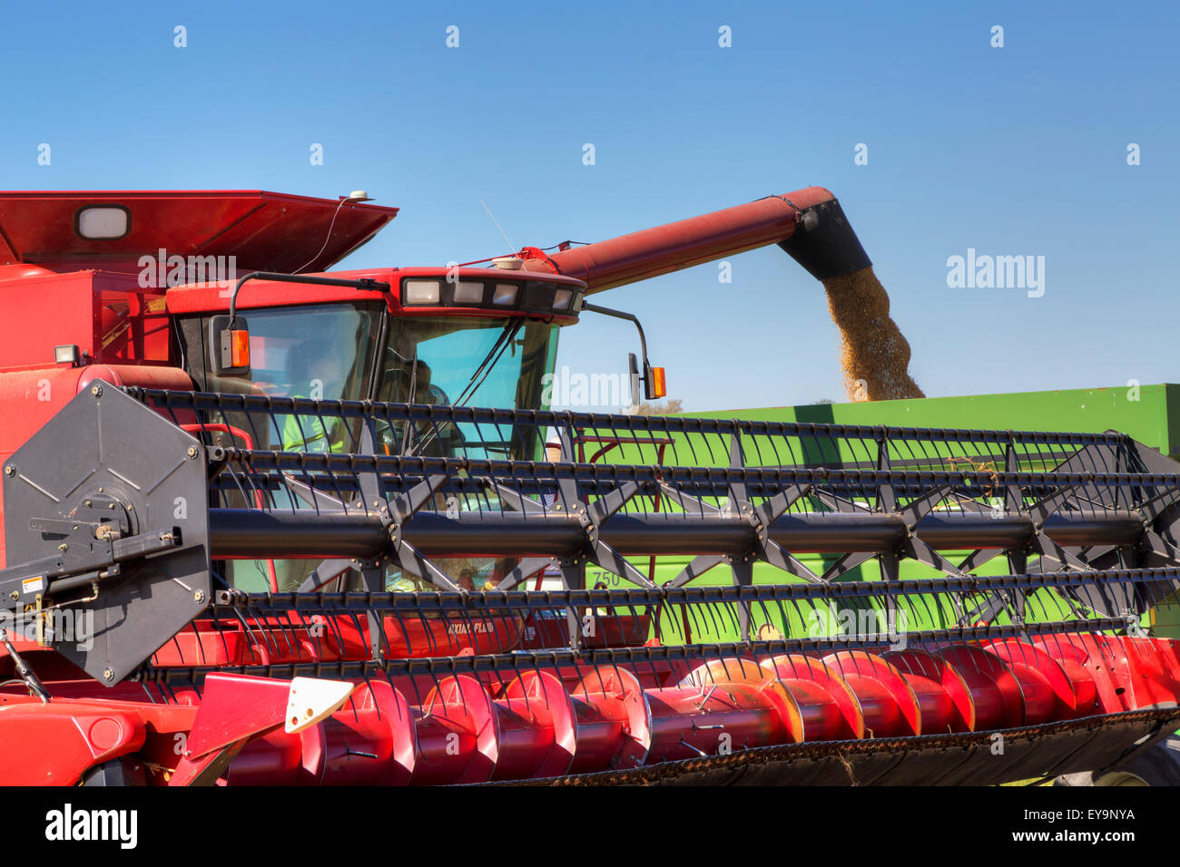 Red combine unloading beans into a grain wagon on a sunny autumn day in Northeast Iowa; Iowa, United States of America Stock Photo