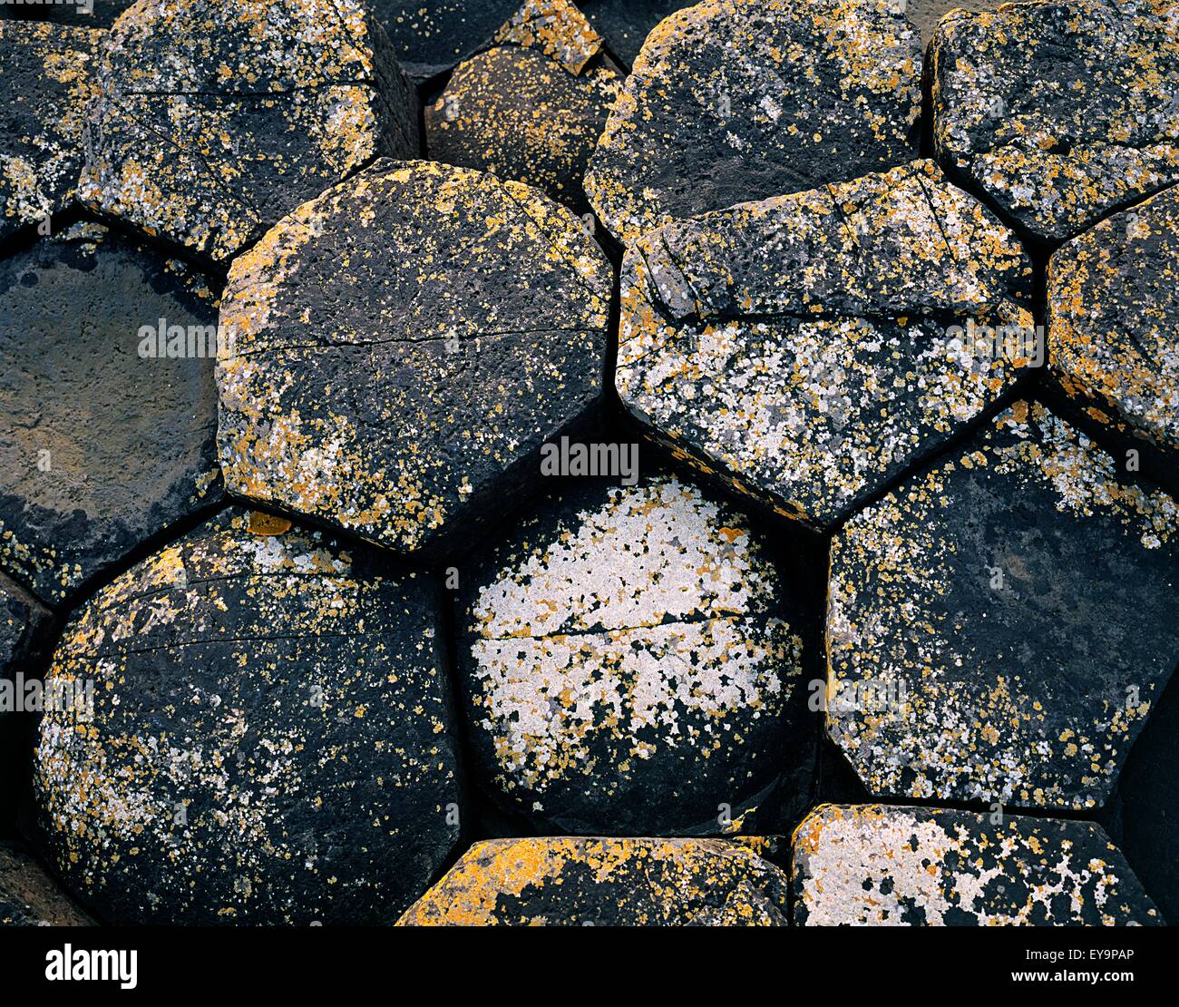 Close-Up Of Basaltic Rocks, Giant's Causeway, County Antrim, Northern ...