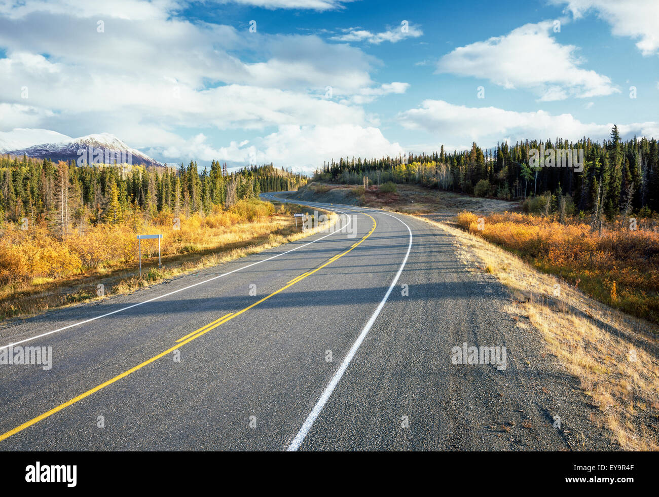 Haines Highway 3 in The Yukon Territory, Canada. Image taken between