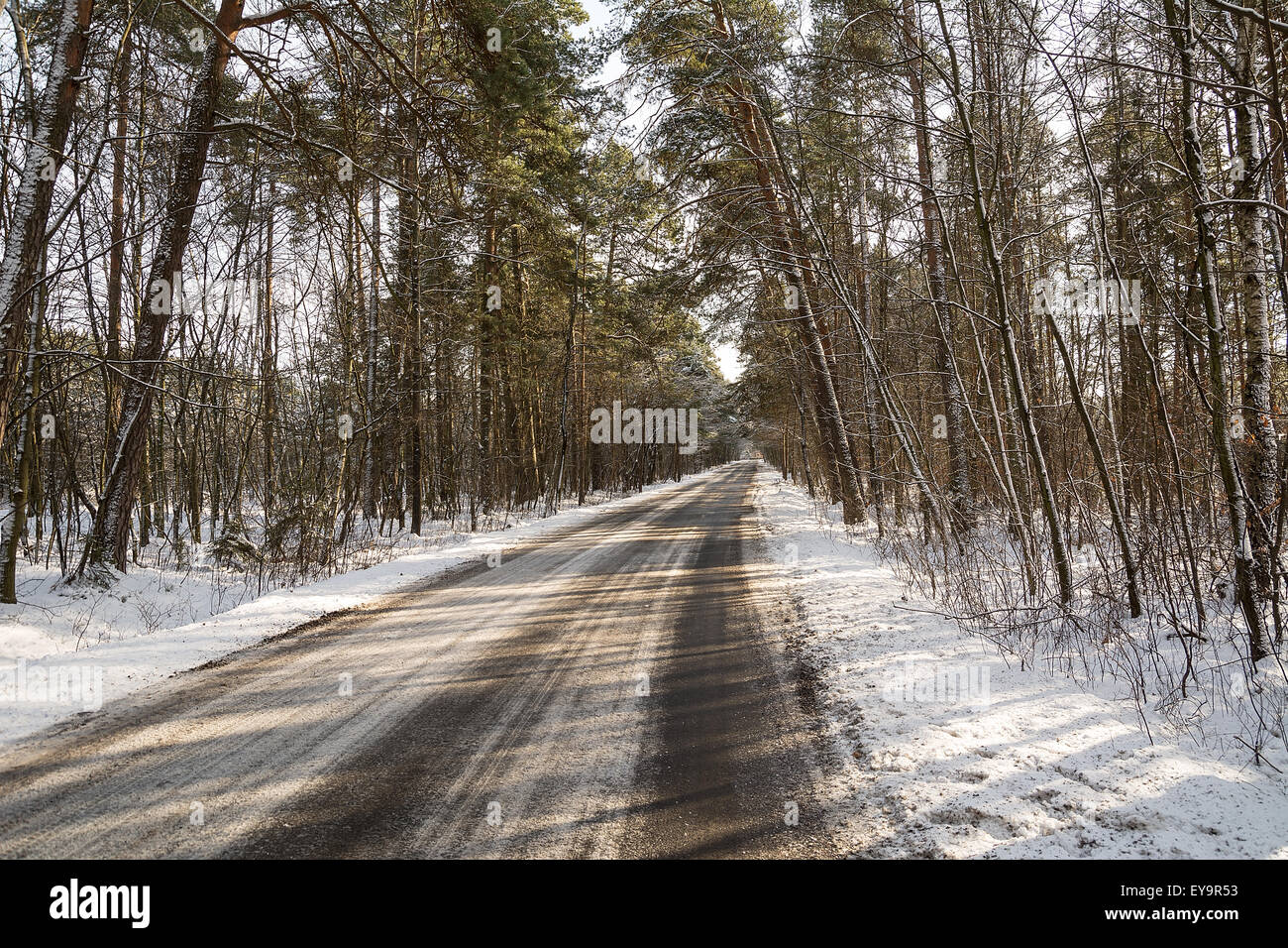 Road in the forest in winter Stock Photo - Alamy