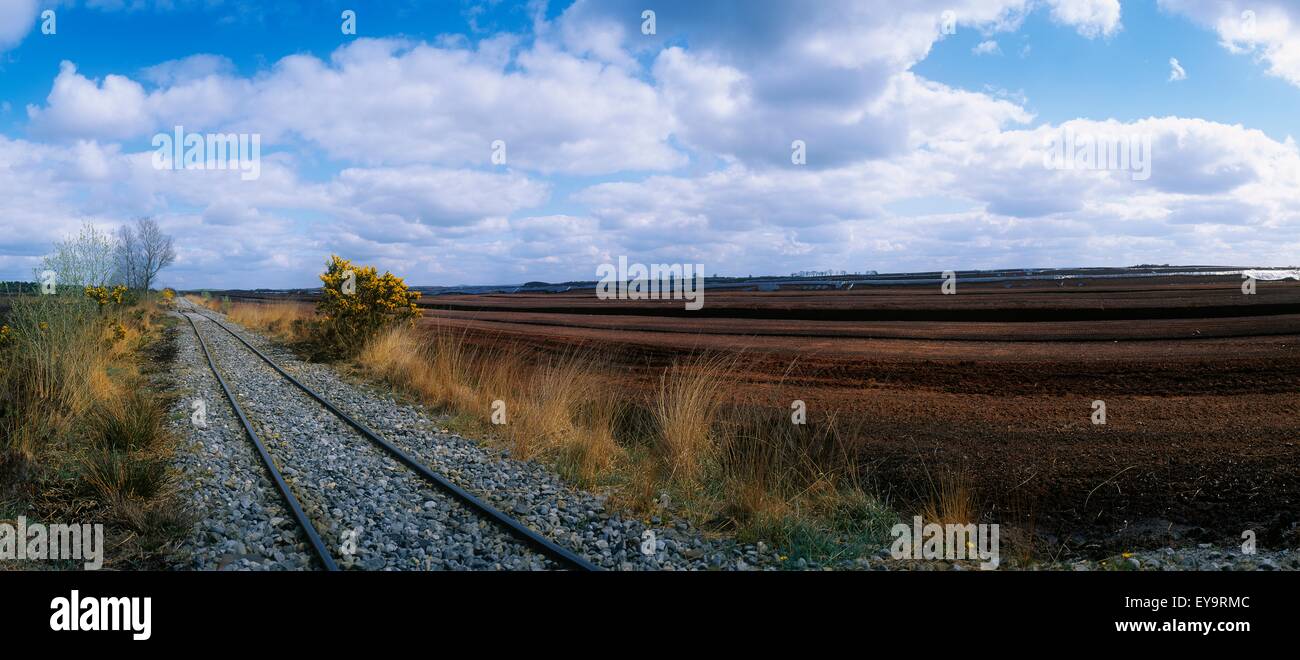 Narrow Gauge Railroad Track Passing Through A Landscape, Blackwater Bog