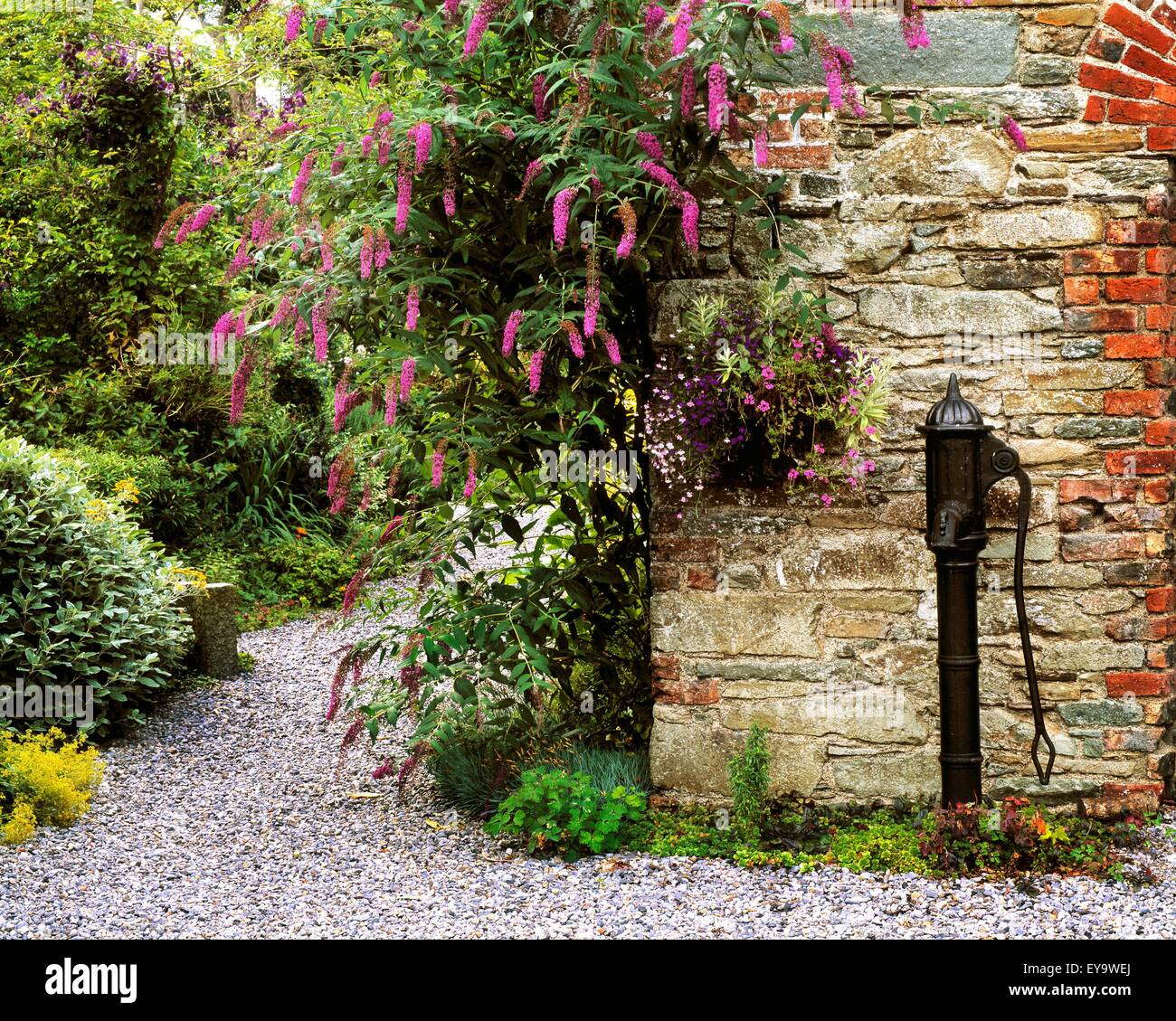 Old Water Pump, Ram House Garden, Co Wexford, Ireland Stock Photo - Alamy