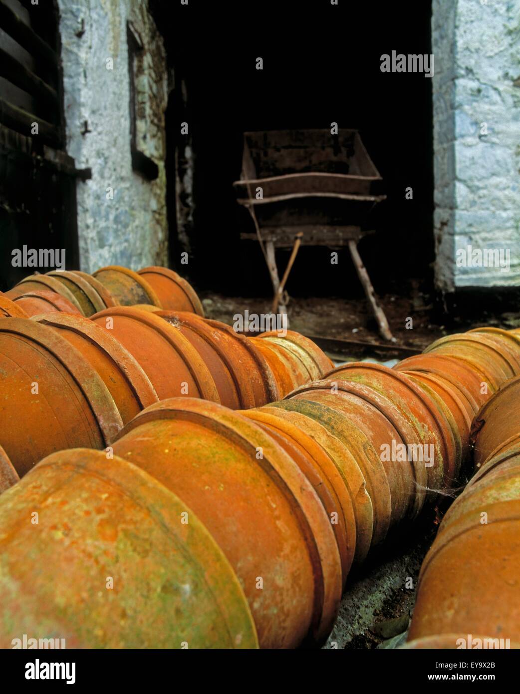 Terracotta Pots, Lakeview, Co Cavan, Ireland Stock Photo Alamy