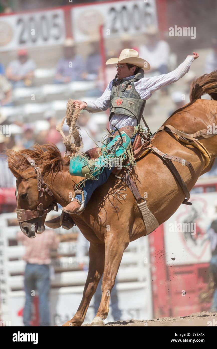 Bronc Riding PNG - Saddle Bronc Riding. - CleanPNG / KissPNG