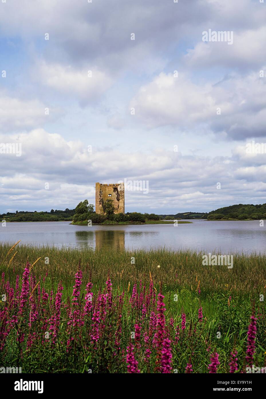 Cavan hi-res stock photography and images - Page 4 - Alamy