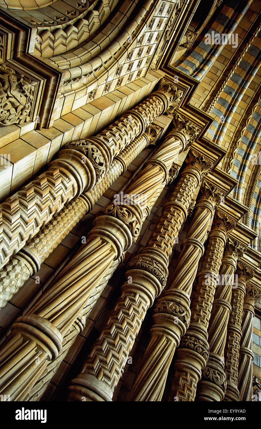 National History Museum, Close Up Stock Photo