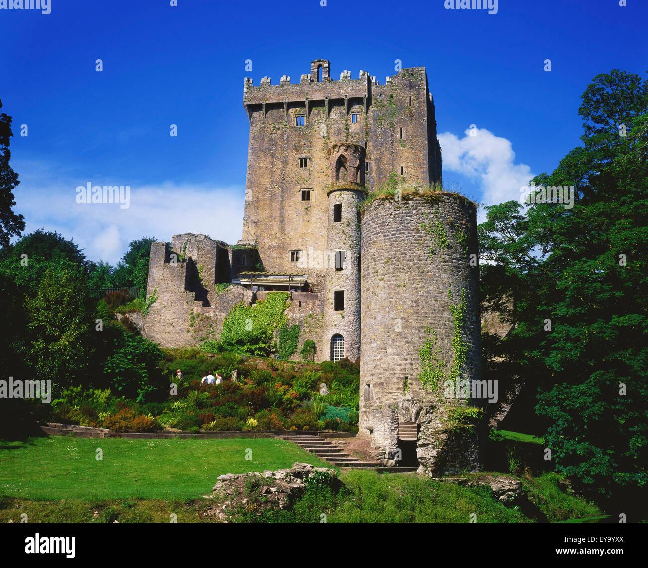 Blarney Castle, Blarney, County Cork, Ireland; Medieval Castle Exterior