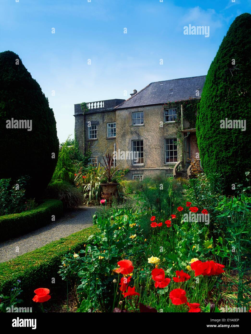 Altamont Garden, Co Carlow, Ireland; Poppies And Broad Walk In Front Of