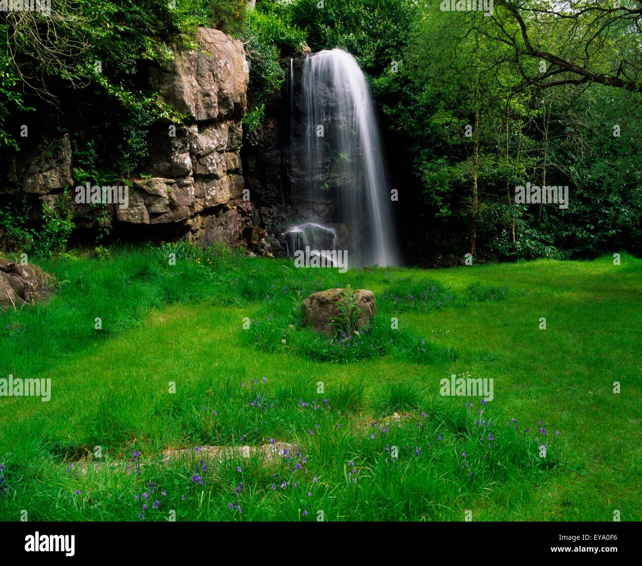 Waterfall, Kilfane Glen, Co Kilkenny, Ireland Stock Photo