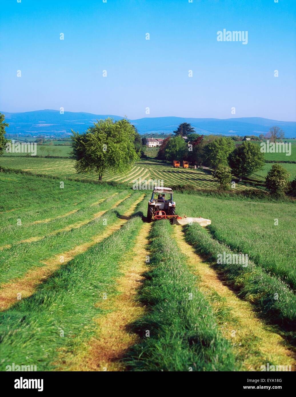 Cutting Silage, Golden Vale, Mitchelstown, Co Tipperary, Ireland Stock