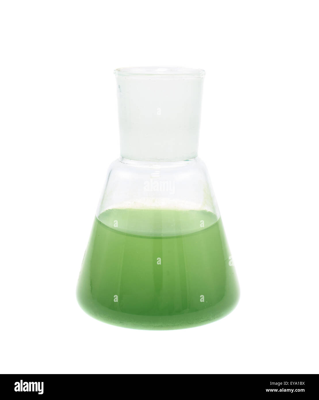 Erlenmeyer flask filled with liquid Stock Photo Alamy