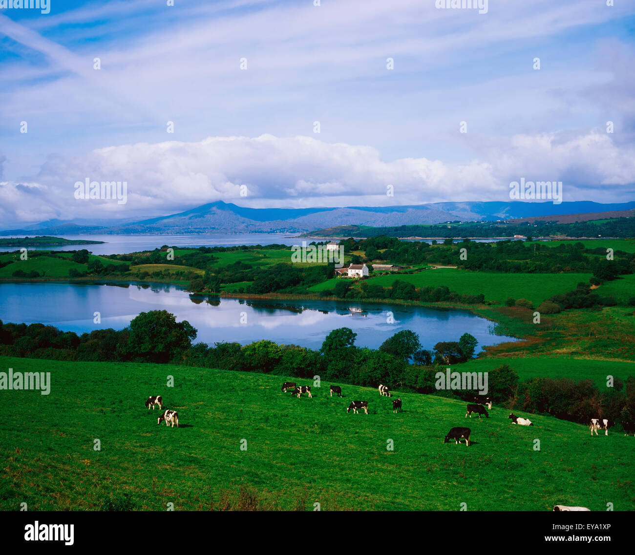 Bantry Bay, Co Cork, Ireland Stock Photo Alamy