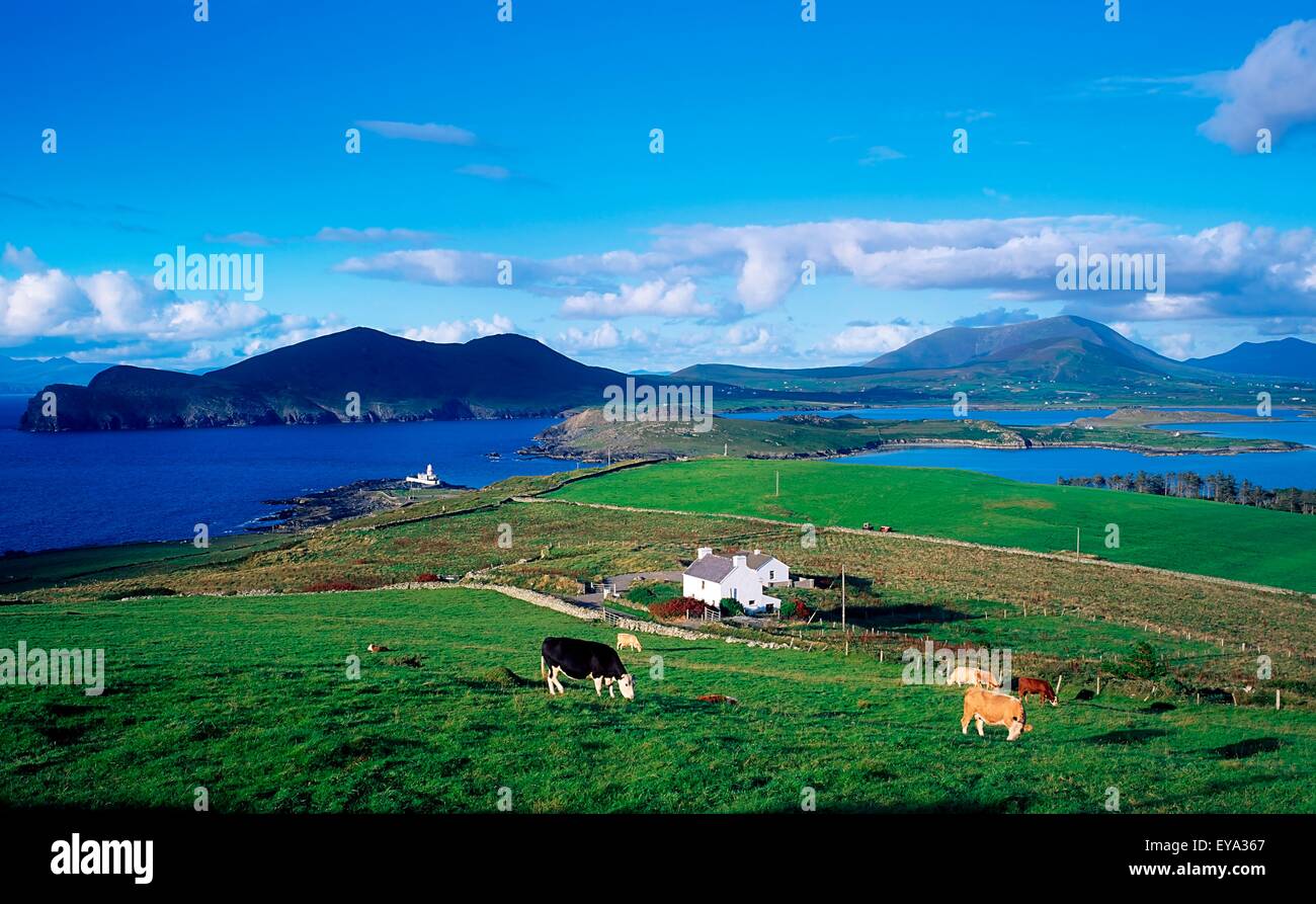 Valentia Island Ring Of Kerry, Co Kerry, Ireland Stock Photo Alamy