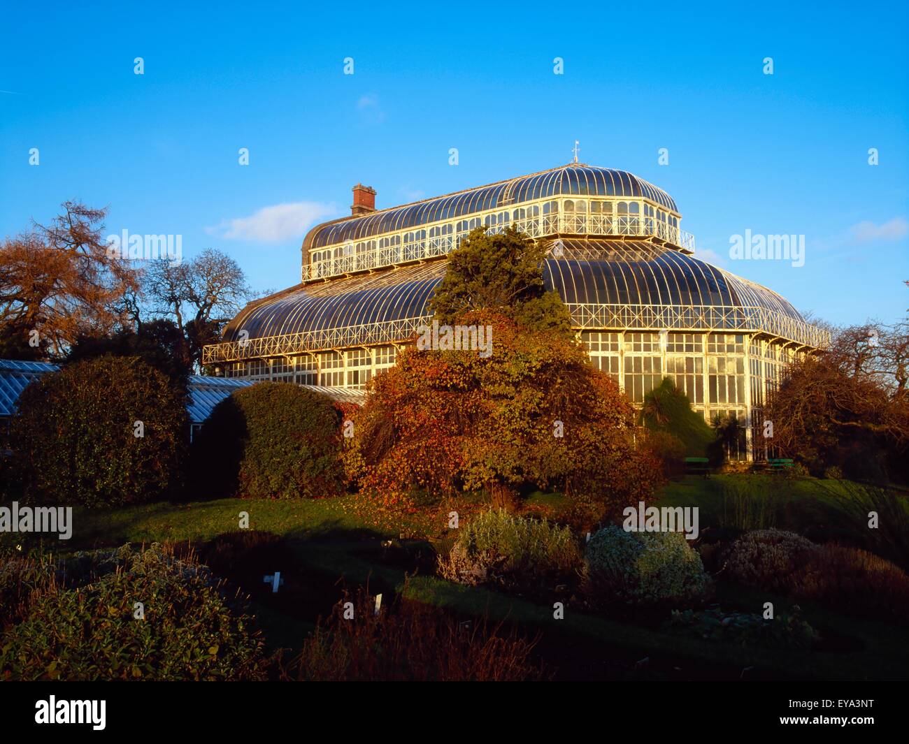 Great Palm House, National Botanic Gardens, Dublin, Ireland Stock Photo