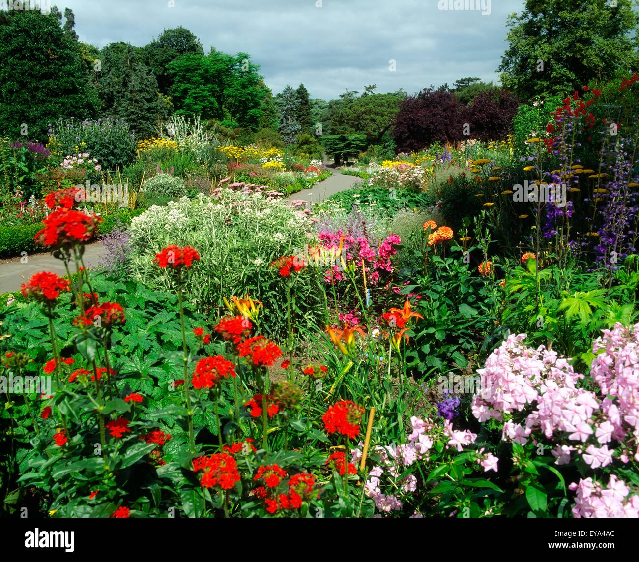 Double herbaceous borders hi-res stock photography and images - Alamy