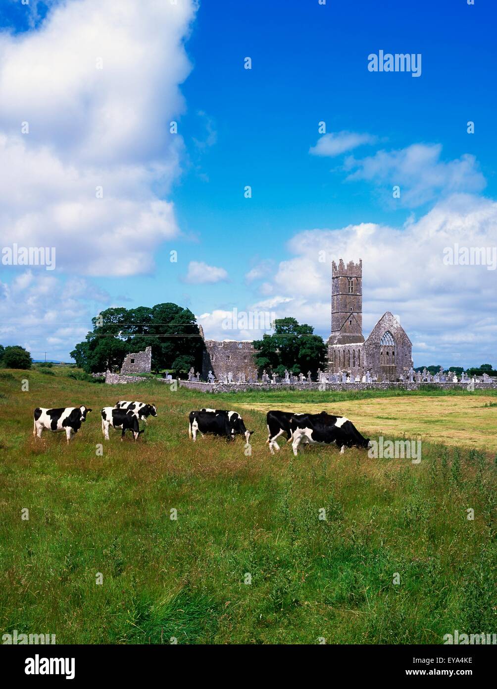 13Th C. Franciscan Abbey, Claregalway, Co Galway, Ireland Stock Photo