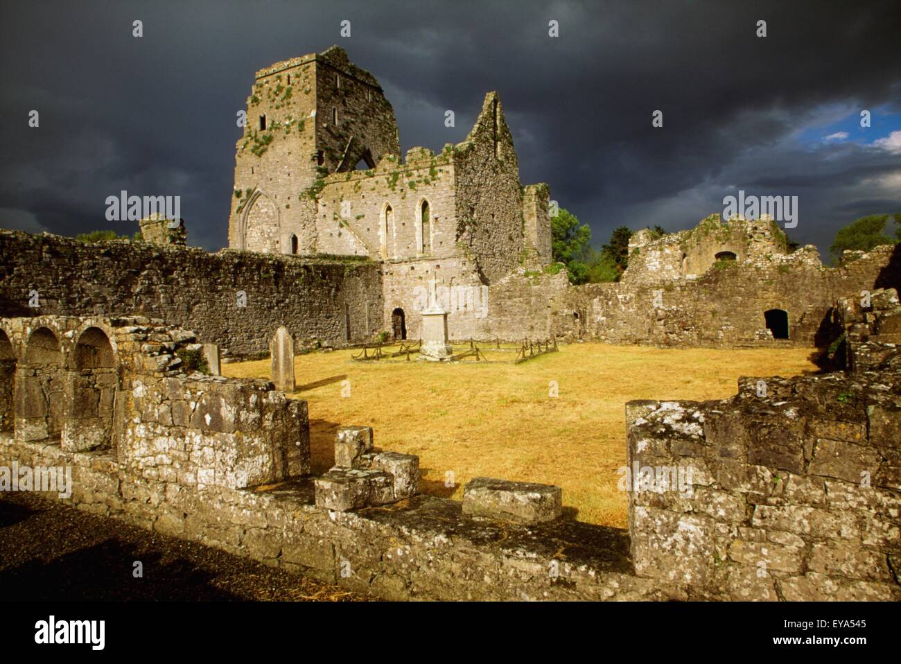 Golden, County Tipperary, Ireland; Athassel Priory Stock Photo