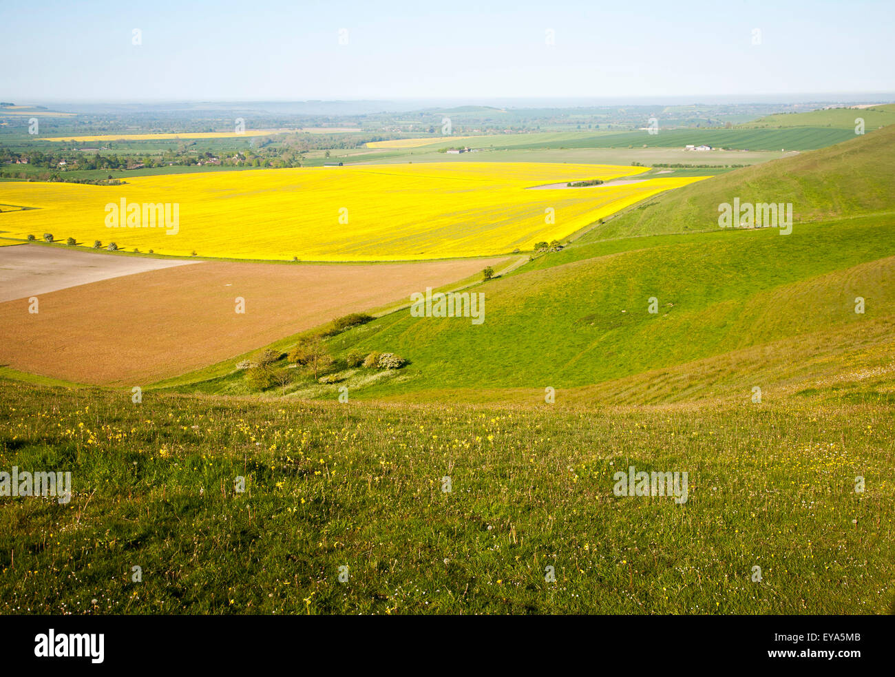 View over Pewsey Vale from chalk scarp slope of Milk Hill, Alton Barnes