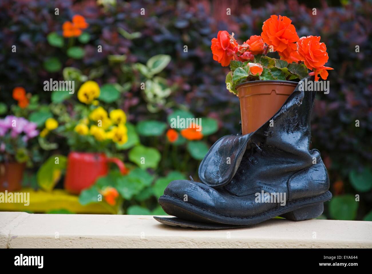 Glengarriff, County Cork, Ireland; CloseUp Of Shoe Planter In Garden