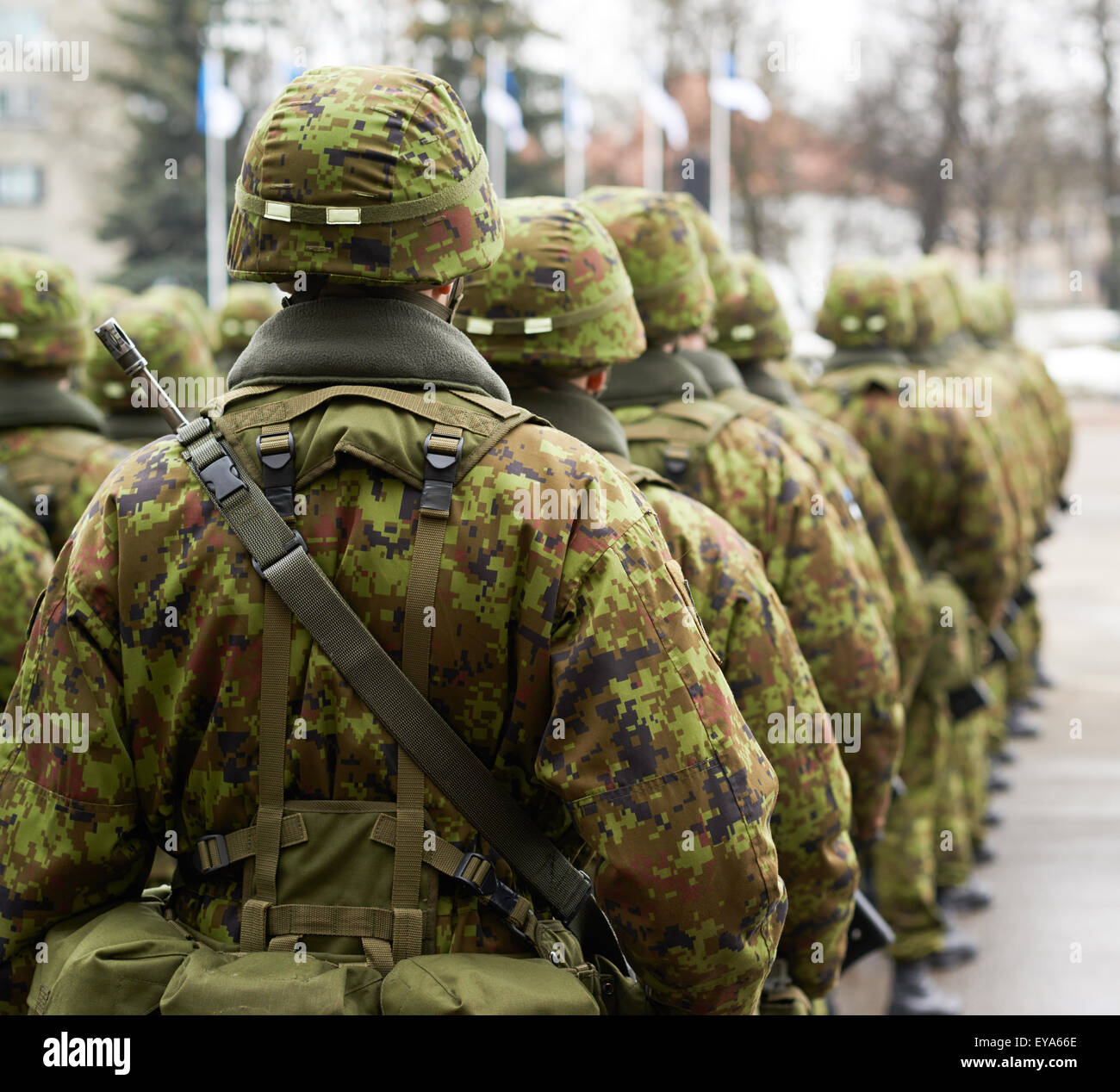 Lined up squad of Estonian soldiers Stock Photo - Alamy