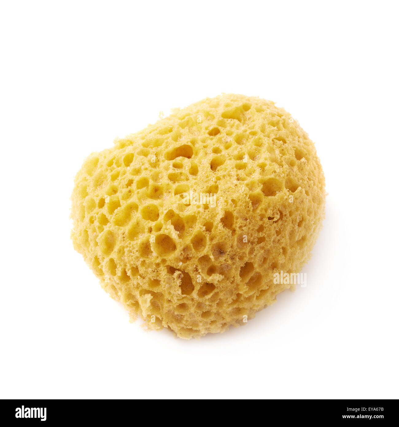 sponge on the run putlockers