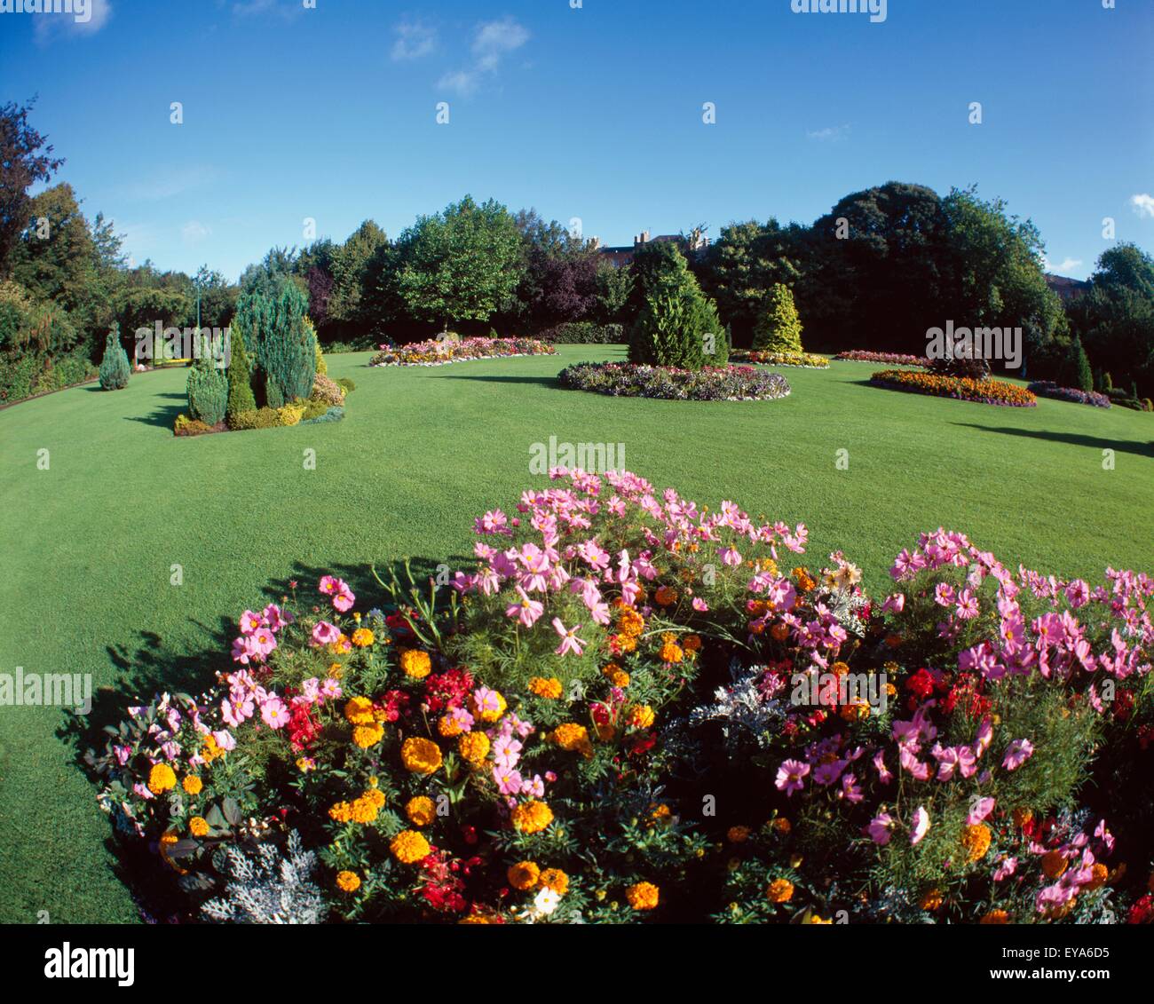 Nursery plants public hi-res stock photography and images - Alamy