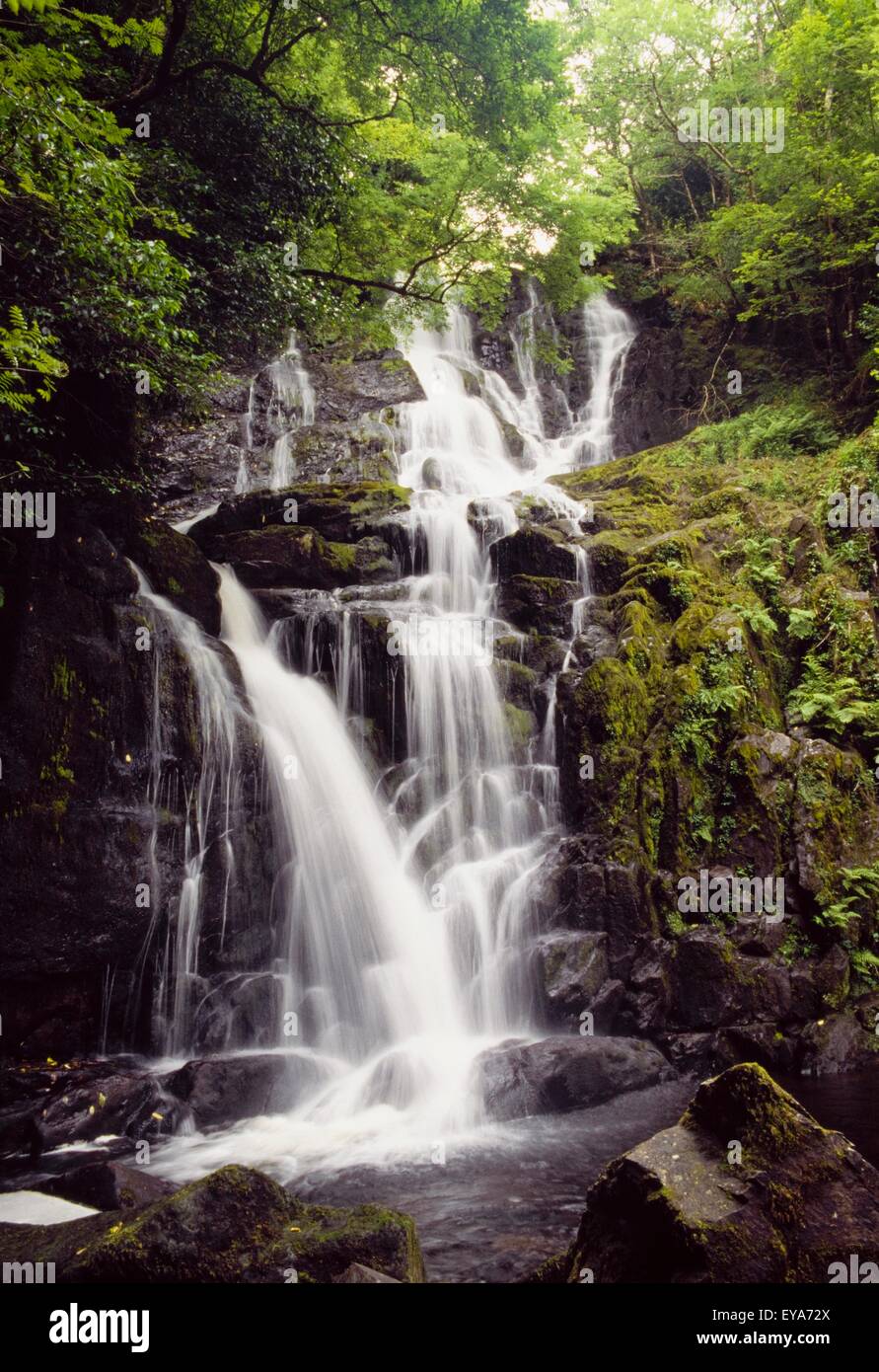 Torc Waterfall, Killarney, Co Kerry, Ireland; Waterfall In Killarney National Park Stock Photo