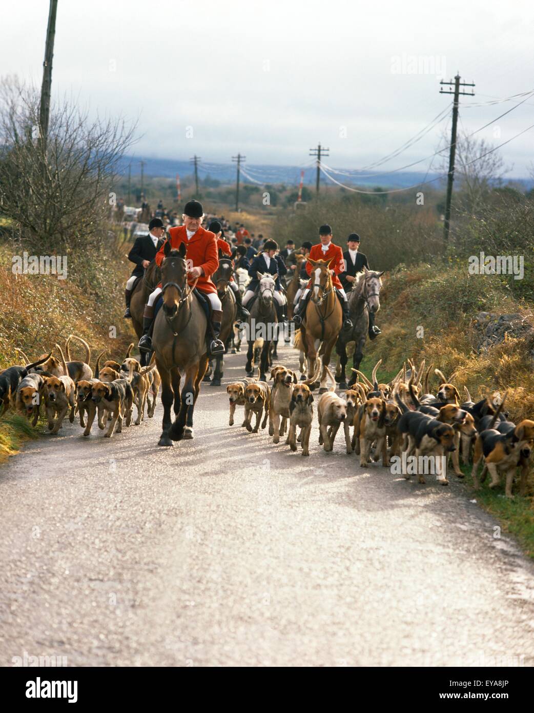 Galway Blazers On A Fox Hunt, County Galway, Ireland Stock Photo